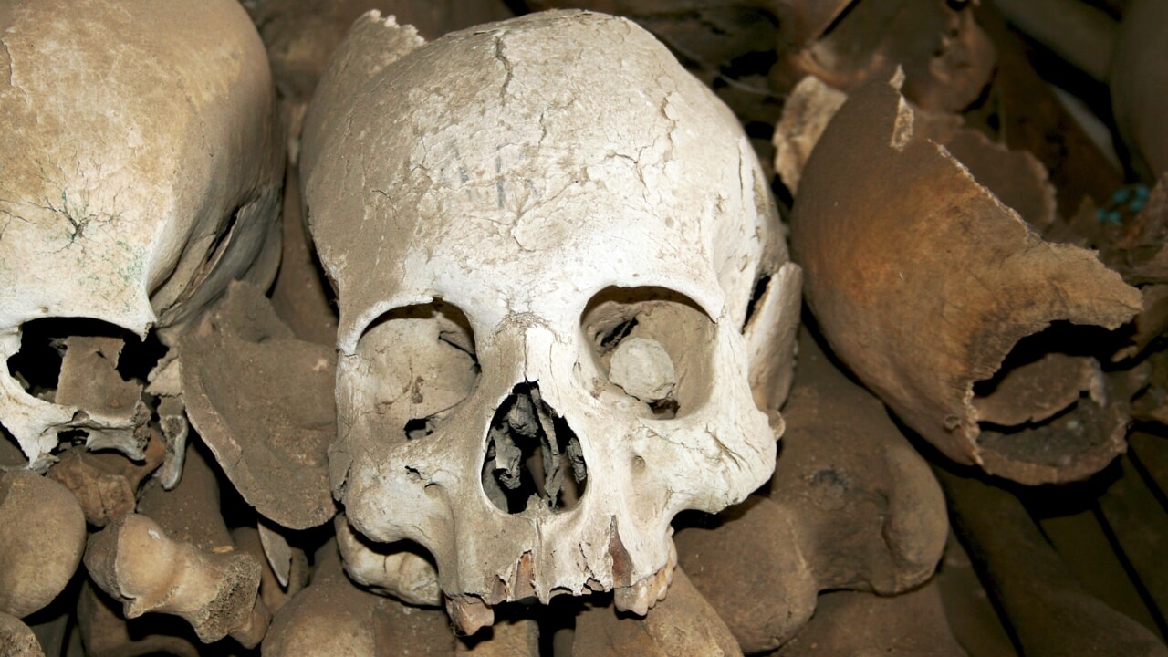 Ancient European DNA reveals the origin of multiple sclerosis