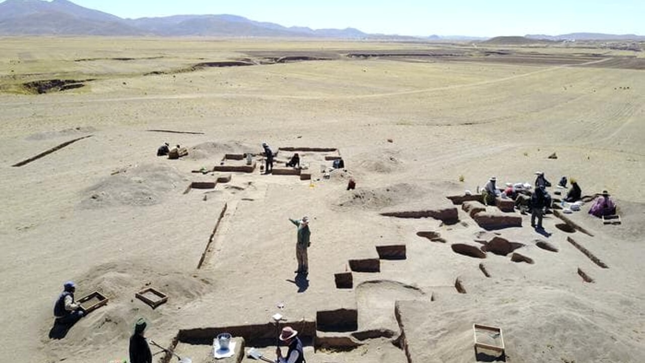 Prehistoric men did not live by hunting, but by tubers and vegetables