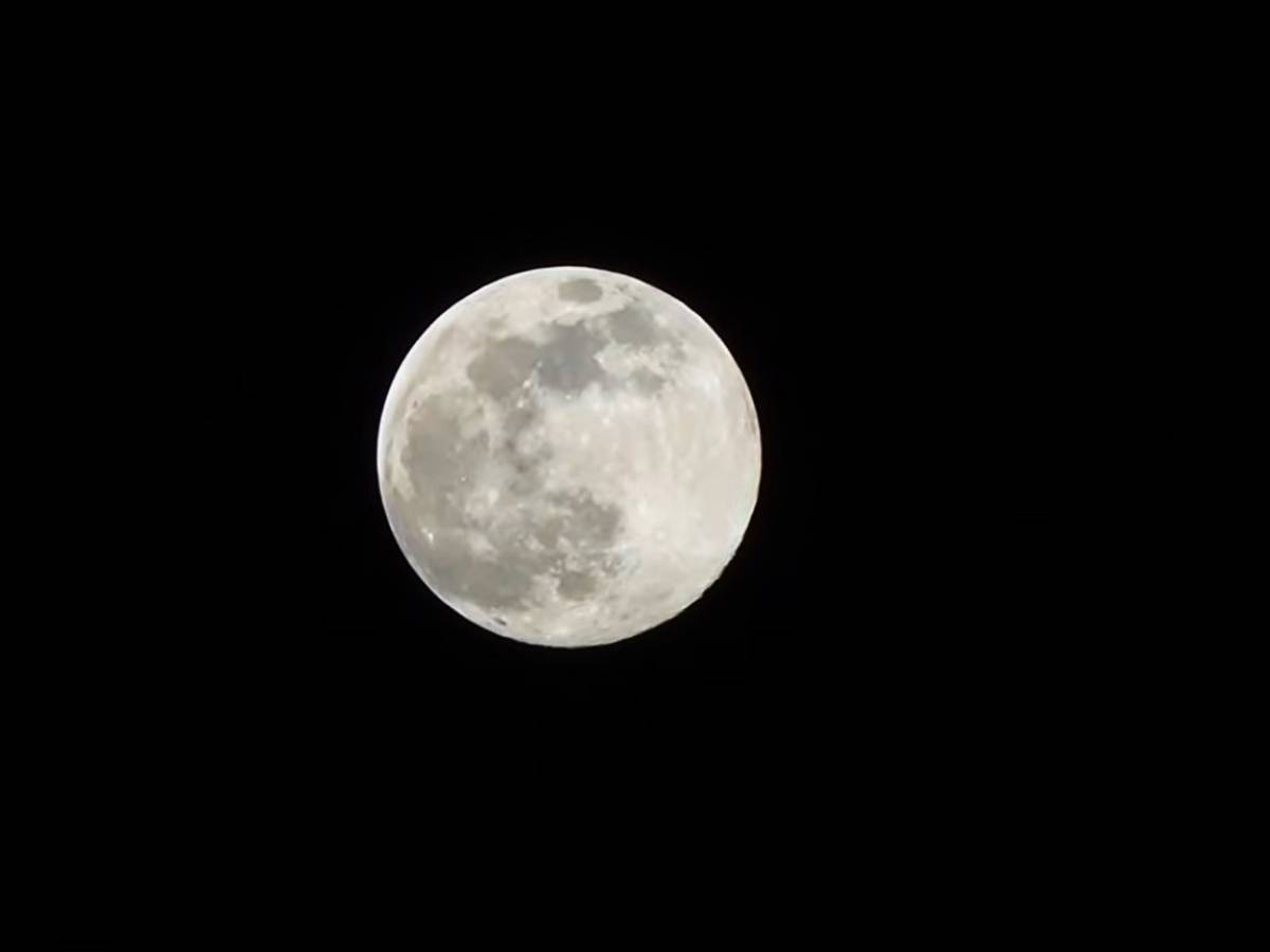 Wolf Moon 2024 ready to shine in the sky: that's why it's called that
