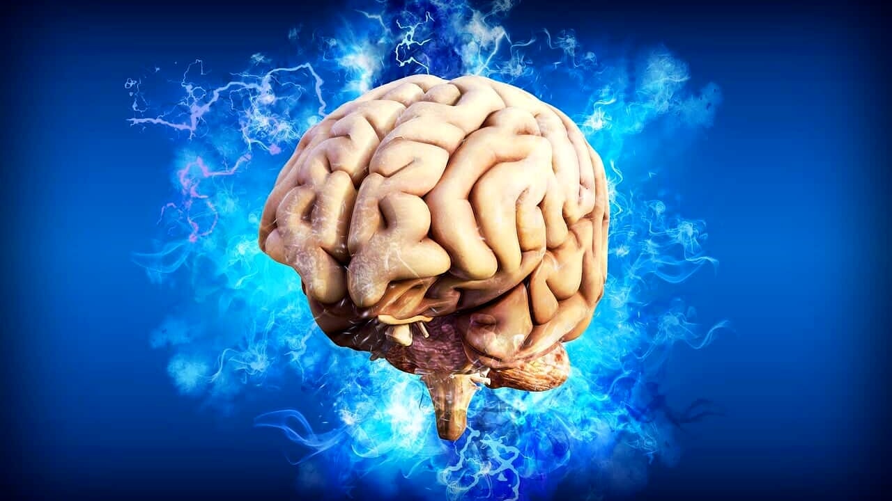 "Attention deficit hyperactivity disorder? It was an evolutionary leap for man"
