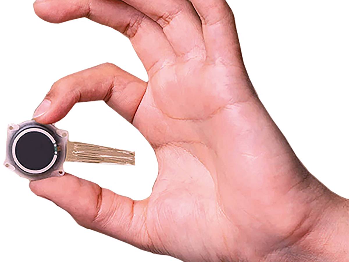 Health and longevity, the latest frontier of technology