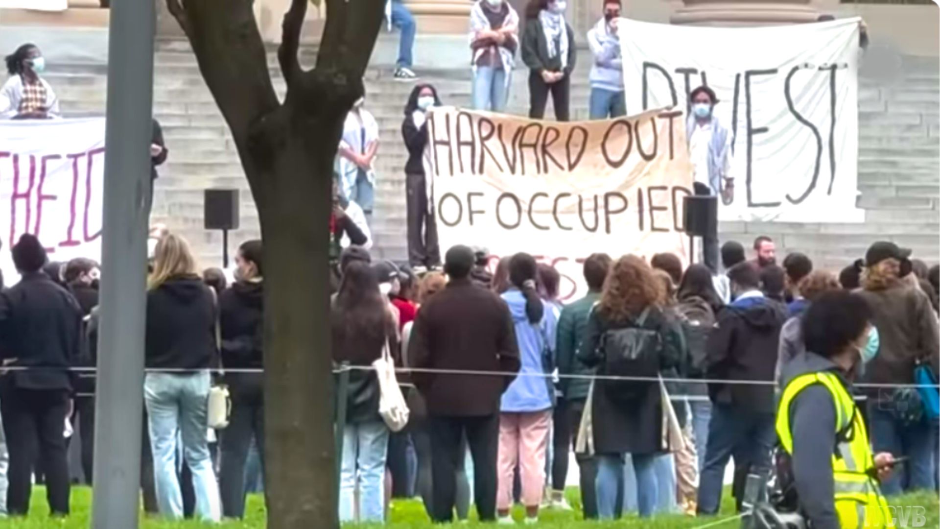 “I'll explain the real cause of anti-Semitism at Harvard”
