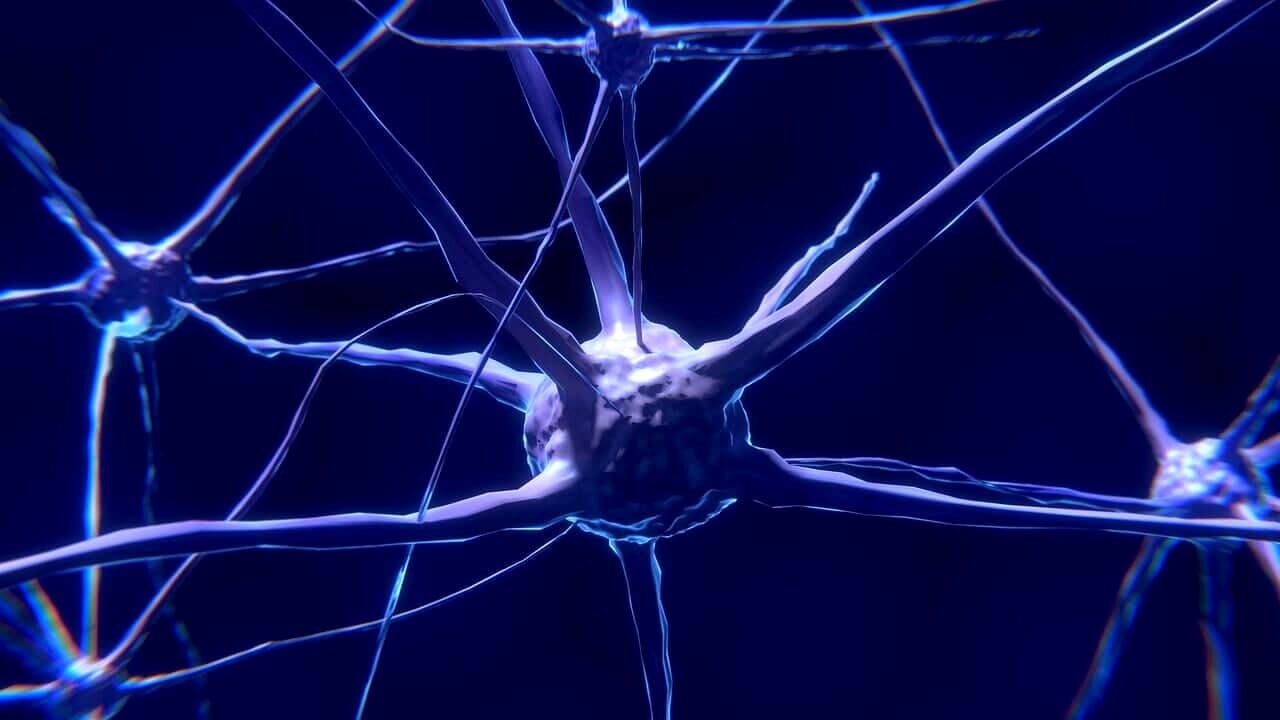 The disease that affects the brains of the poor