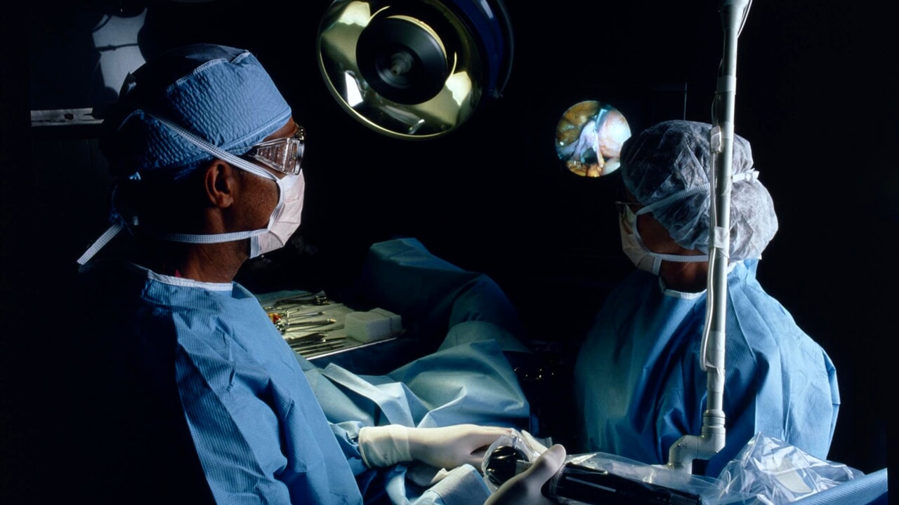 The kidney of a genetically modified pig has been transplanted into a man