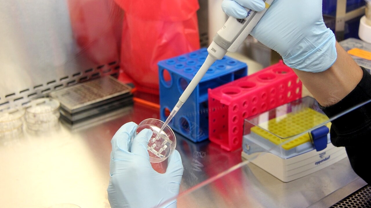The AIDS vaccine is finally one step away