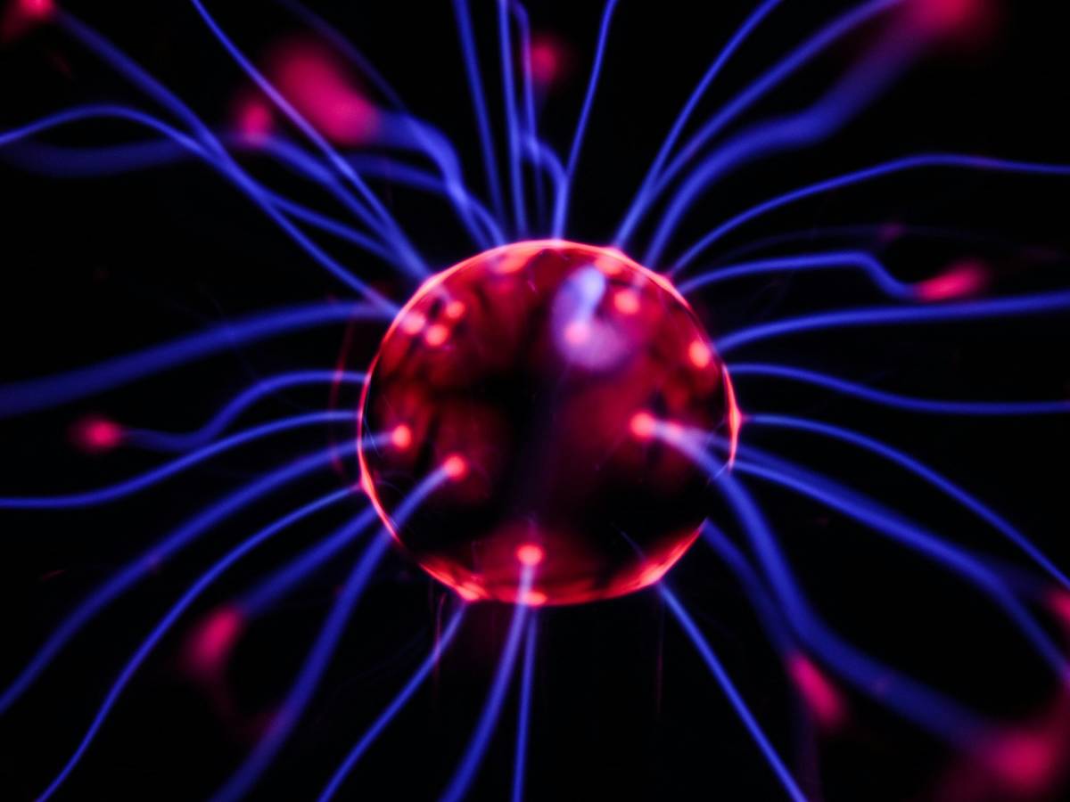 The perfect chaos and the web of neurons