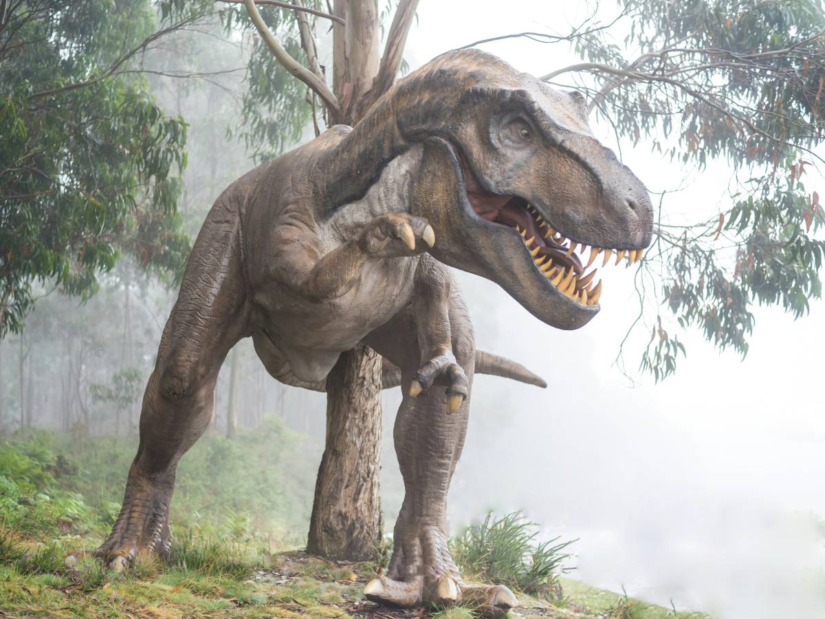 Here are the dinosaurs - il Giornale