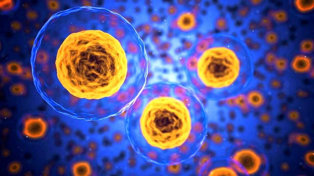 Anti-cancer therapy that risks having the opposite effect