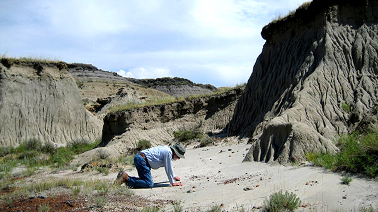 Three children go on a hike and discover the remains of a gigantic 7-meter-tall T-Rex
