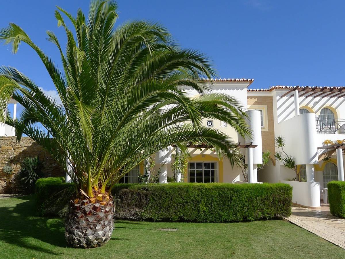 Holidays, how to choose a sustainable hotel