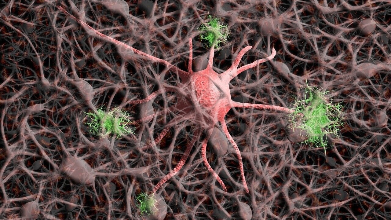 Alzheimer's enzyme discovered: a breakthrough for the treatment of dementia