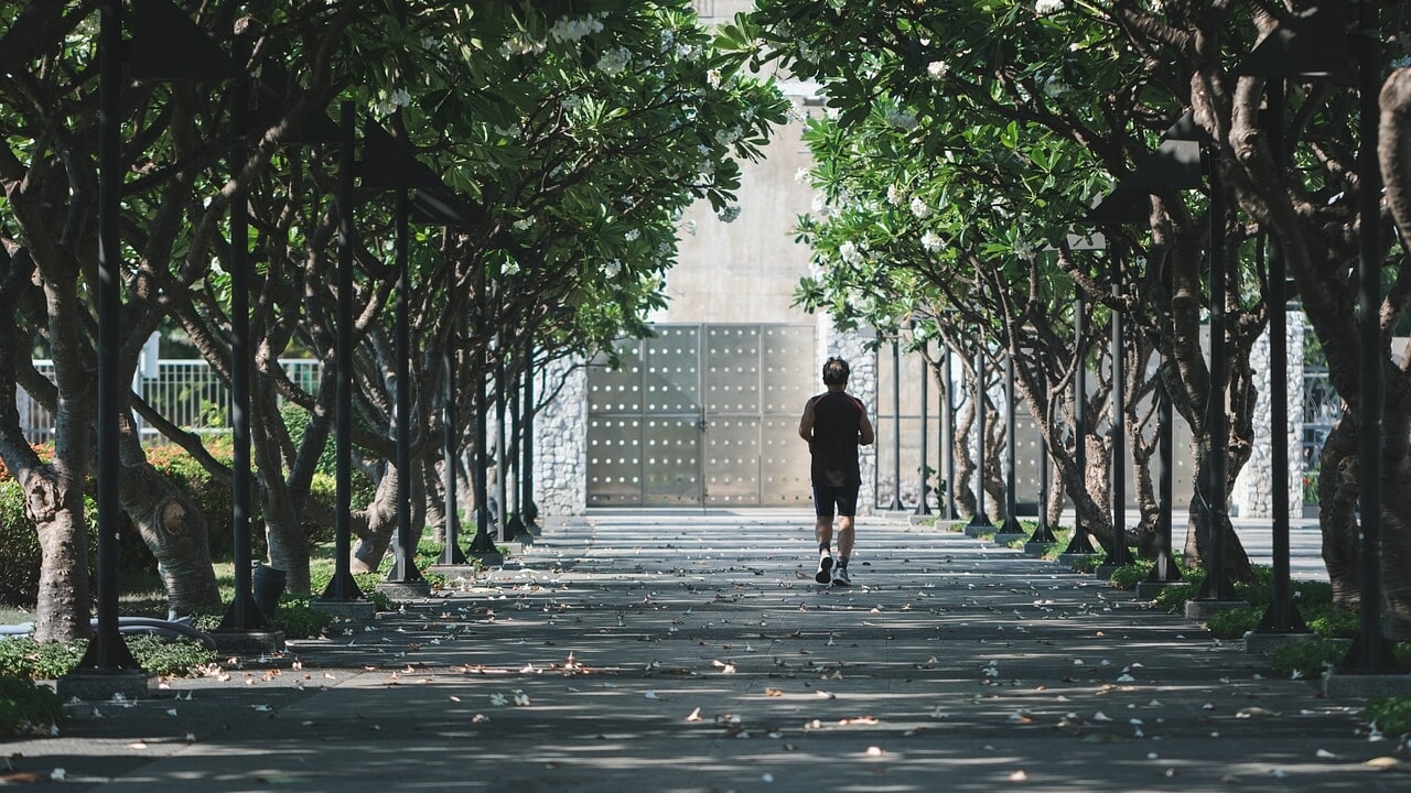 It's never too late: even training only on weekends protects your health