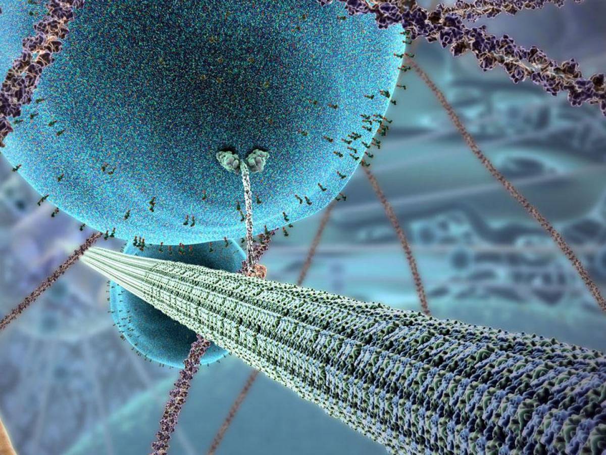 The (somewhat alchemical) super pharmacy of artificial intelligence