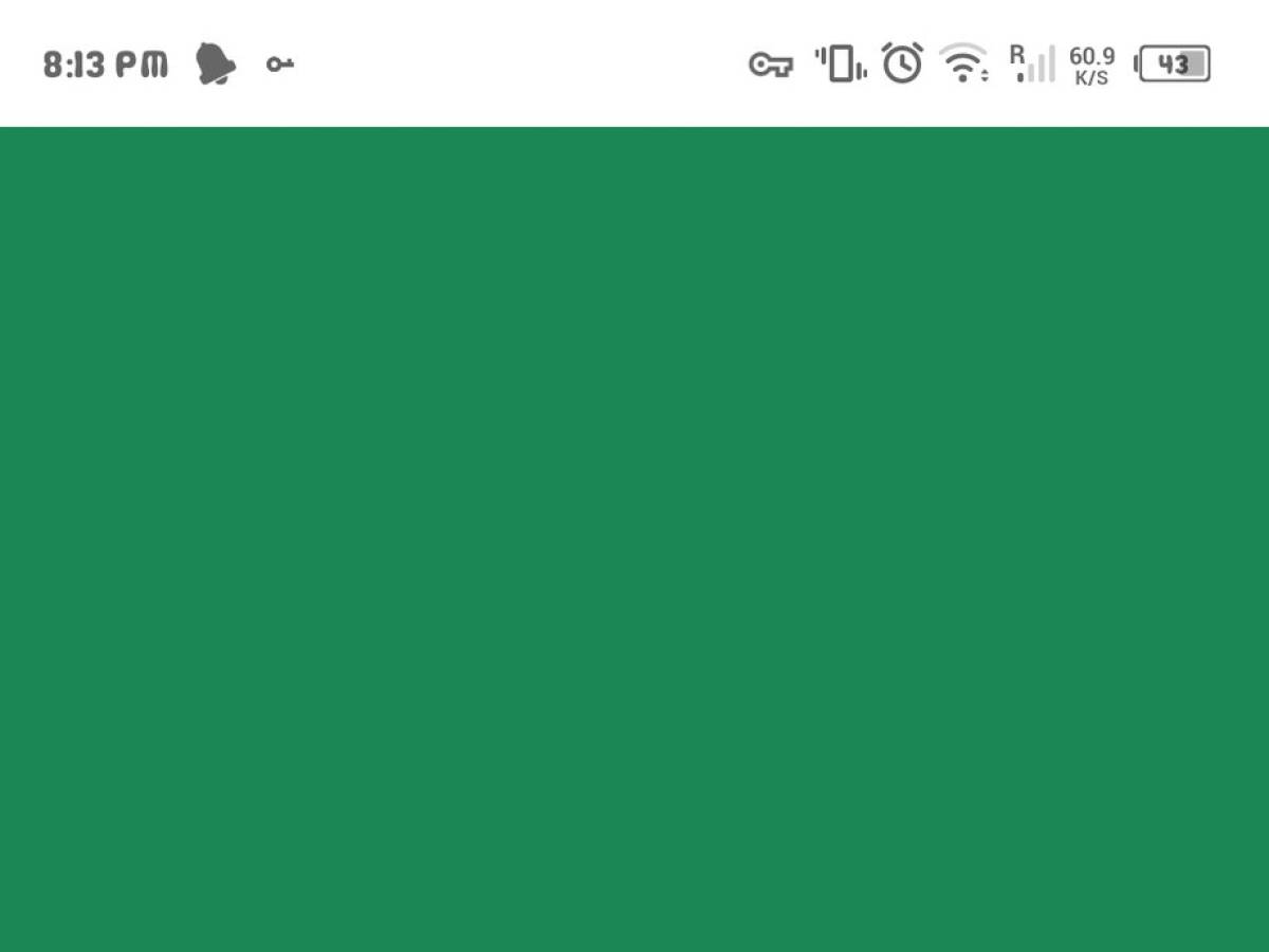 WhatsApp, the green screen bug blocks everything: how to fix it