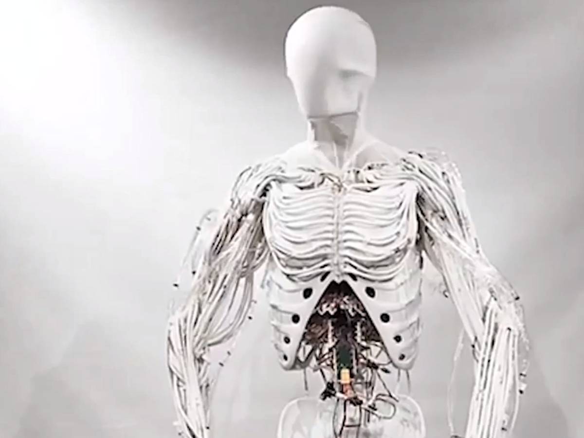 Robotics scares: the disturbing "Clone Alpha", with synthetic organs and veins (but without a face)