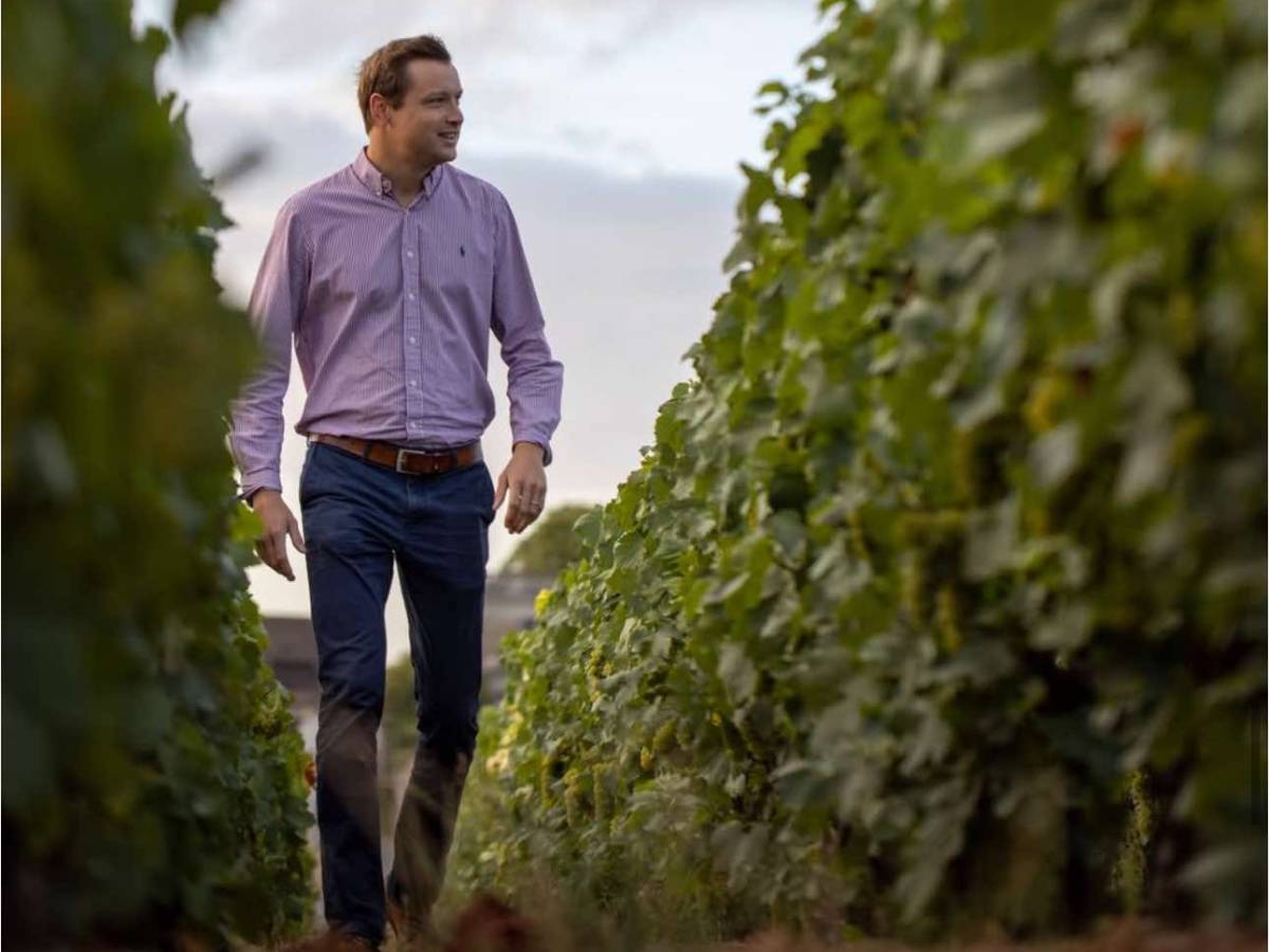 Barons de Rothschild, the nobility of Champagne