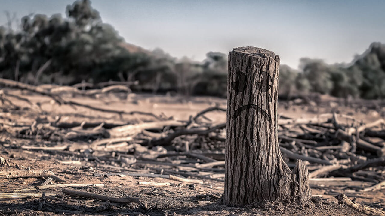 Is it time to focus on adaptation policies?