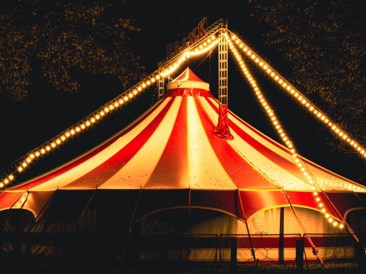 The circus without animals, a step towards civilization