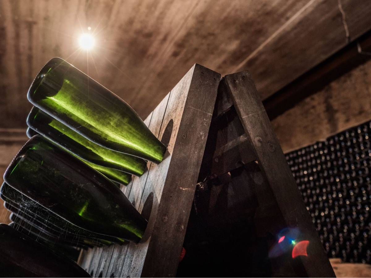 Ca' Rovere, elegant bubbles from the Berici Hills