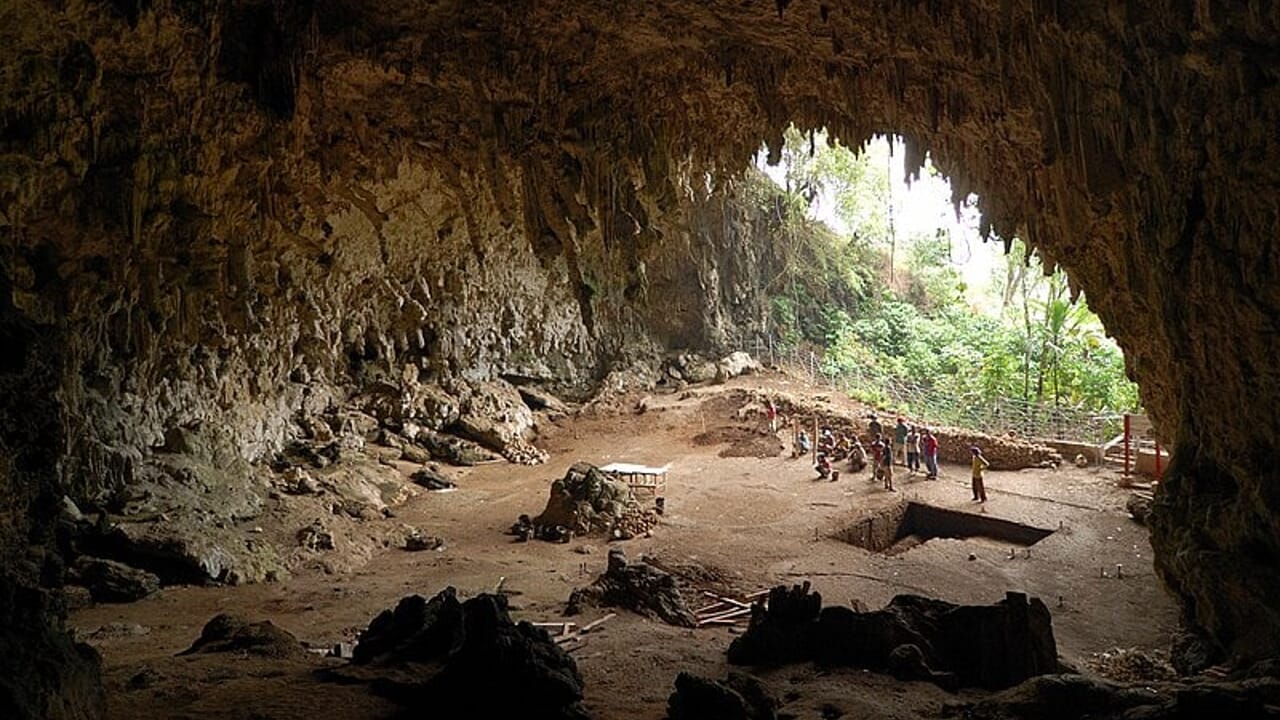 An entire population has already been wiped out by climate change