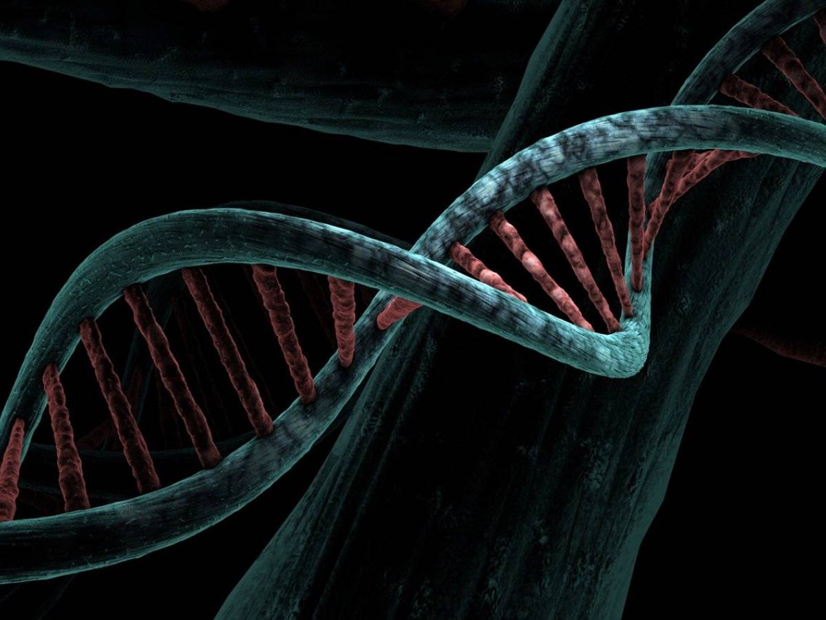"Protected areas" of DNA: what they are and how their mixing works