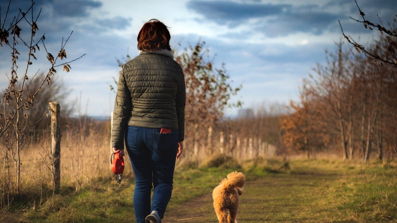 How many minutes you have to walk to avoid diabetes and tumors