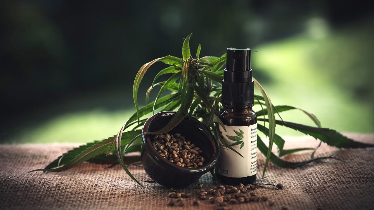 The intake of CBD does not alter the view and does not compromise the guide