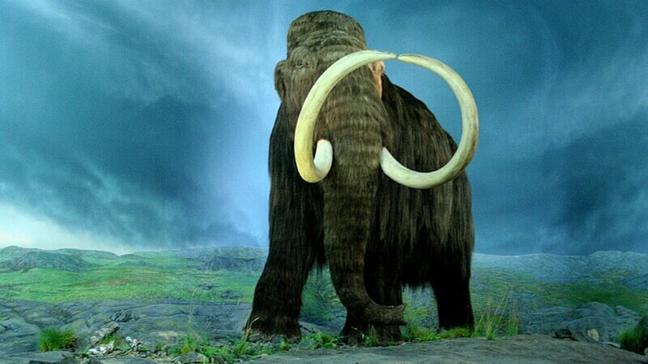 There is a 10 billion euro company that is about to bring extinct animals back to life: the first will be mammoths