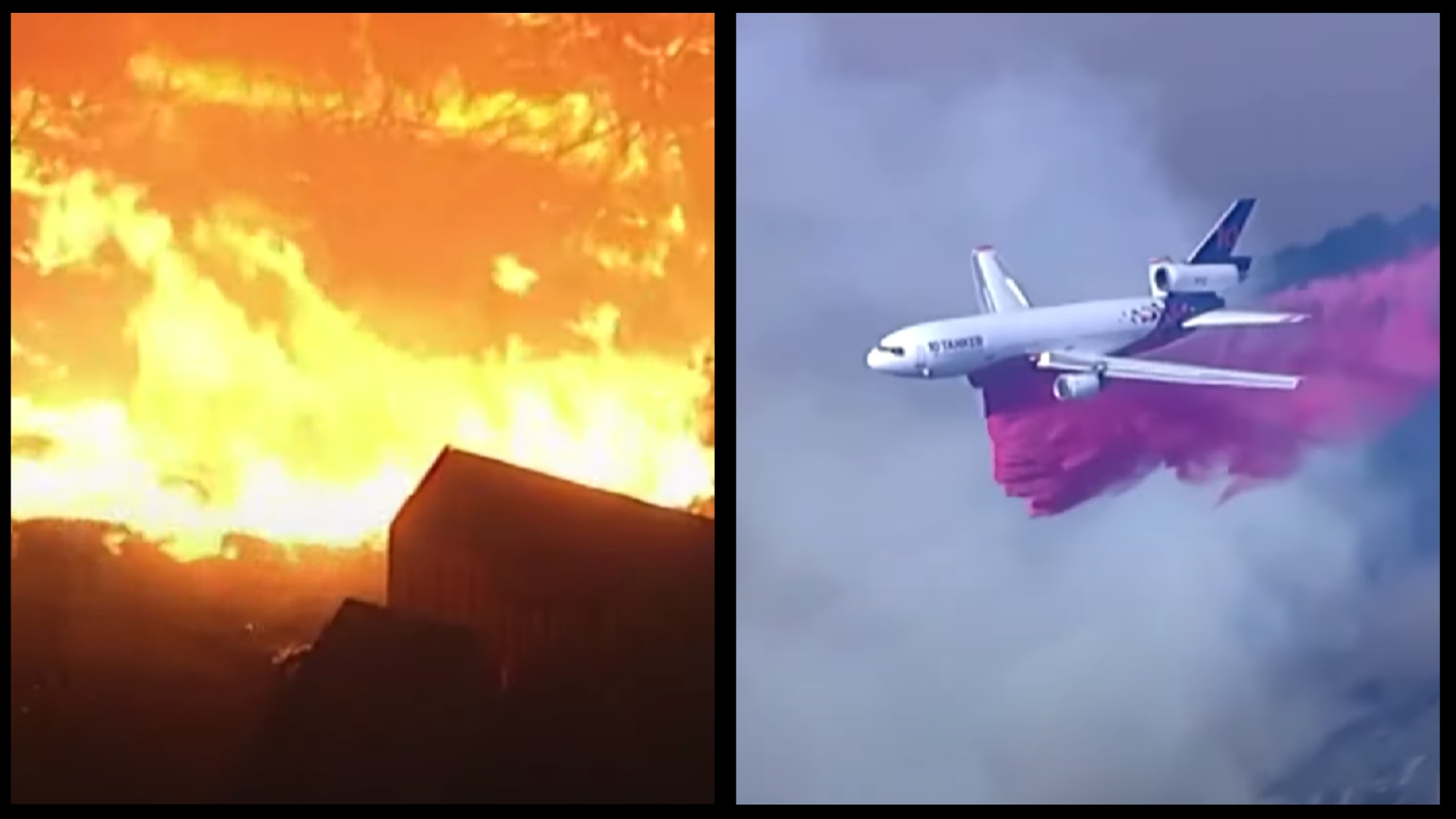 the chaos created by environmental laws