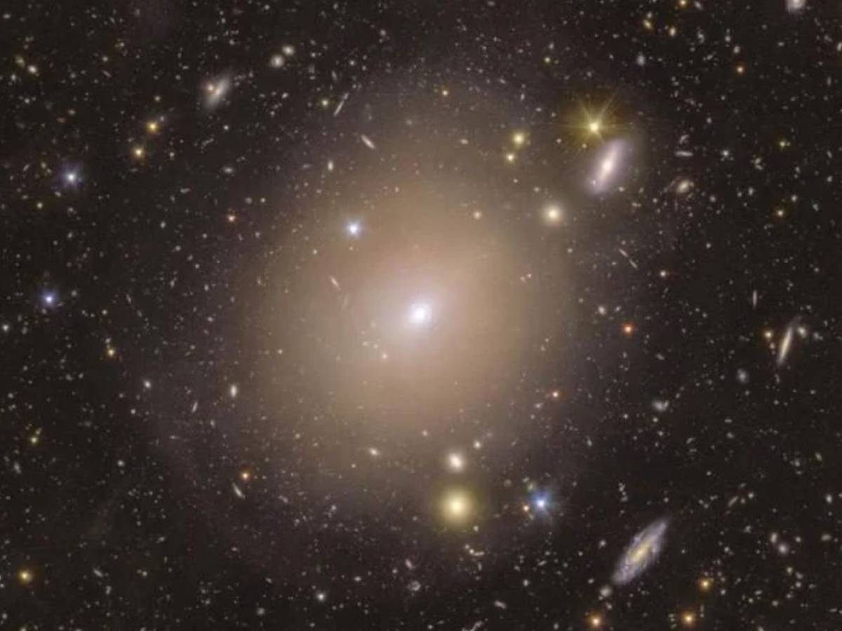 The ring of Einstein and that ring of light that confirms relativity
