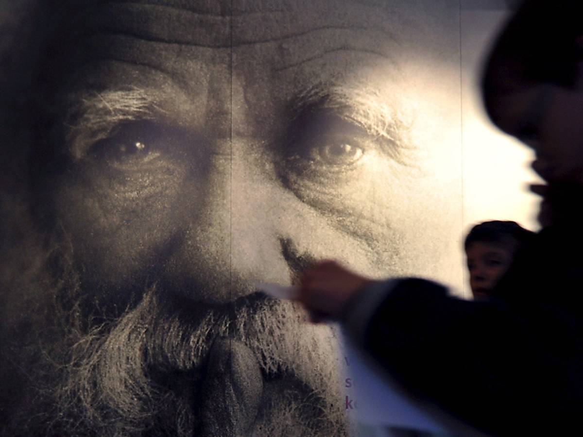 Darwin Day: seven common places on Darwin and evolutionism
