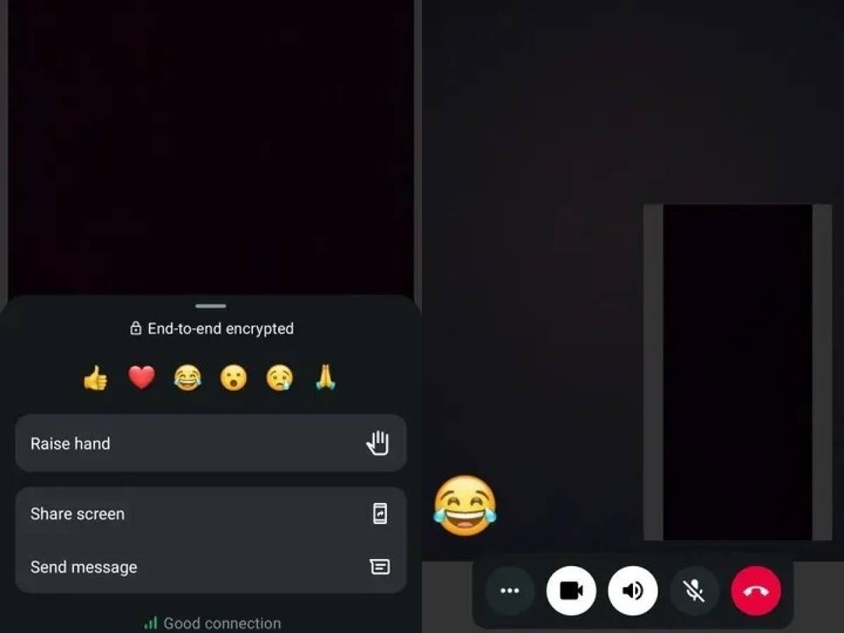 VideoChiamate Revolution for WhatsApp, two functions arriving for users