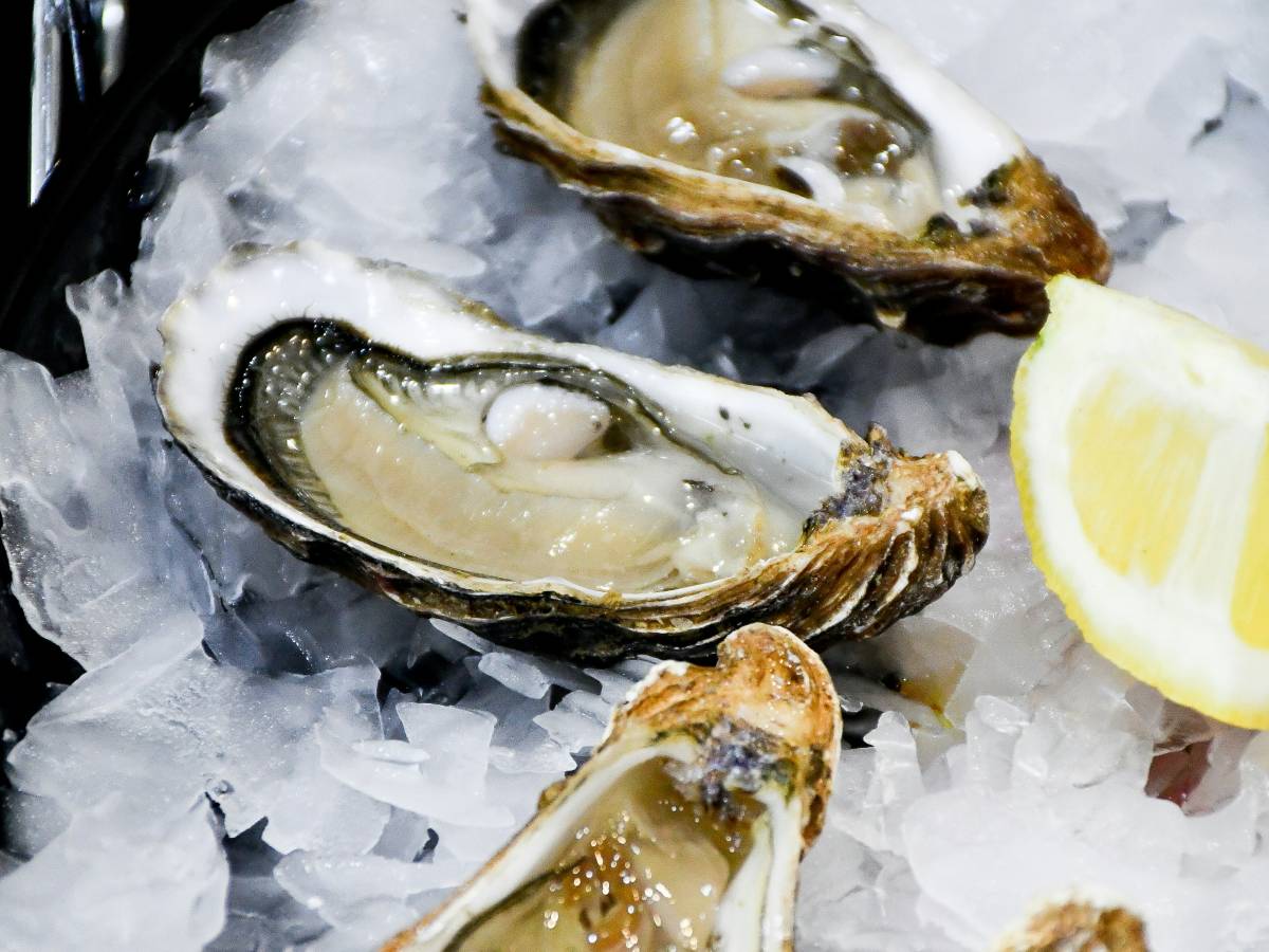More oysters for everyone - Il Giornale