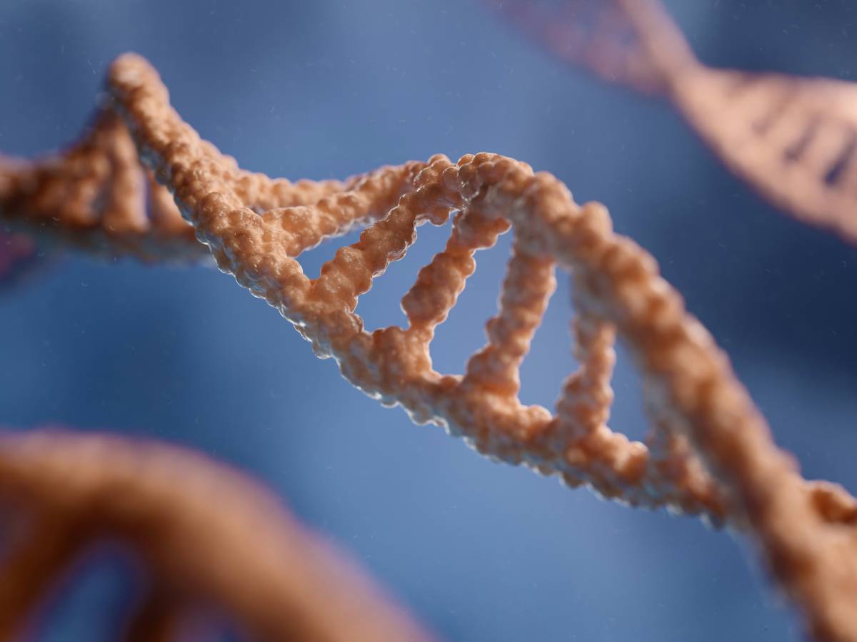 Metagenomica and new antibiotic that challenges the super bacteria: so the Ai changes medicine