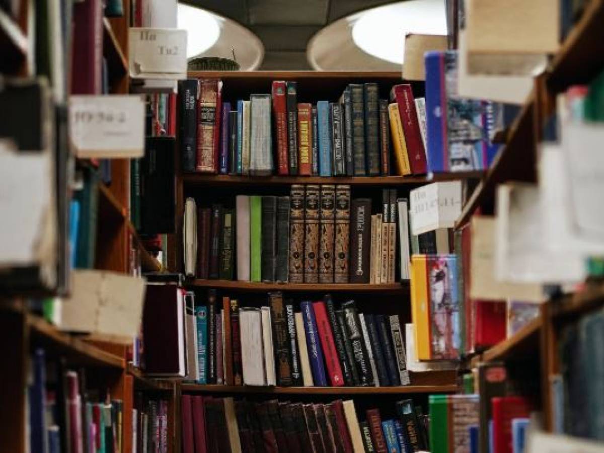 The Ai di Meta steals books. Is it right or is it wrong?