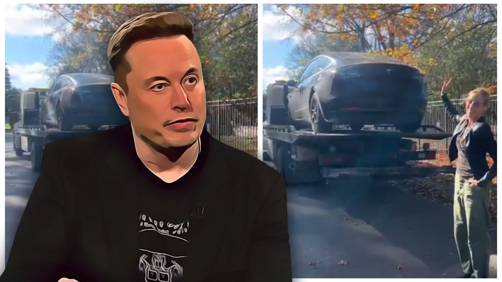 Save the soldier Musk