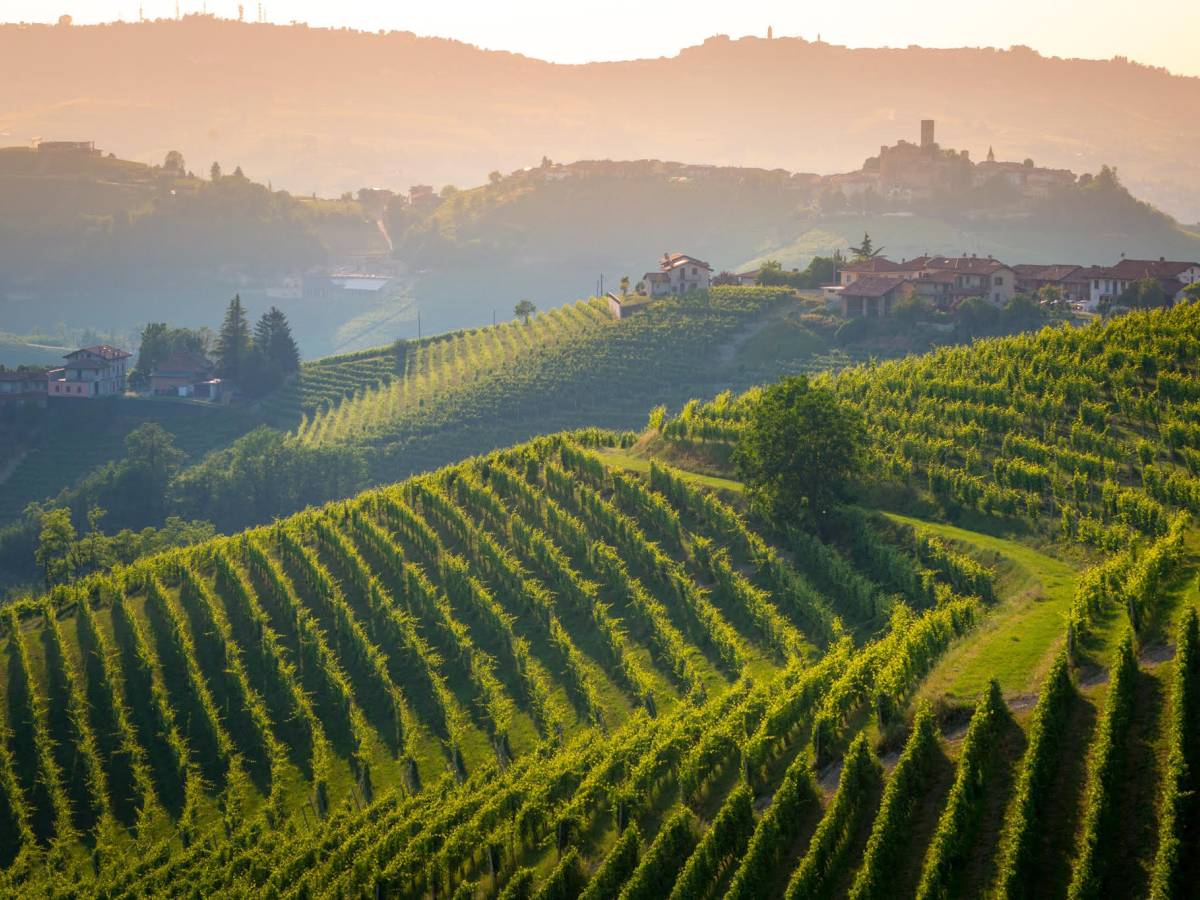 Parusso, listening to Barolo