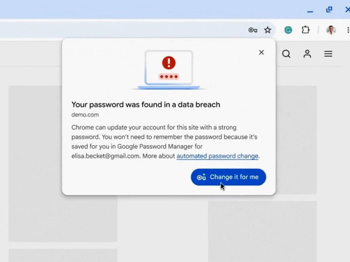 Google Update Chrome: now changes passwords alone