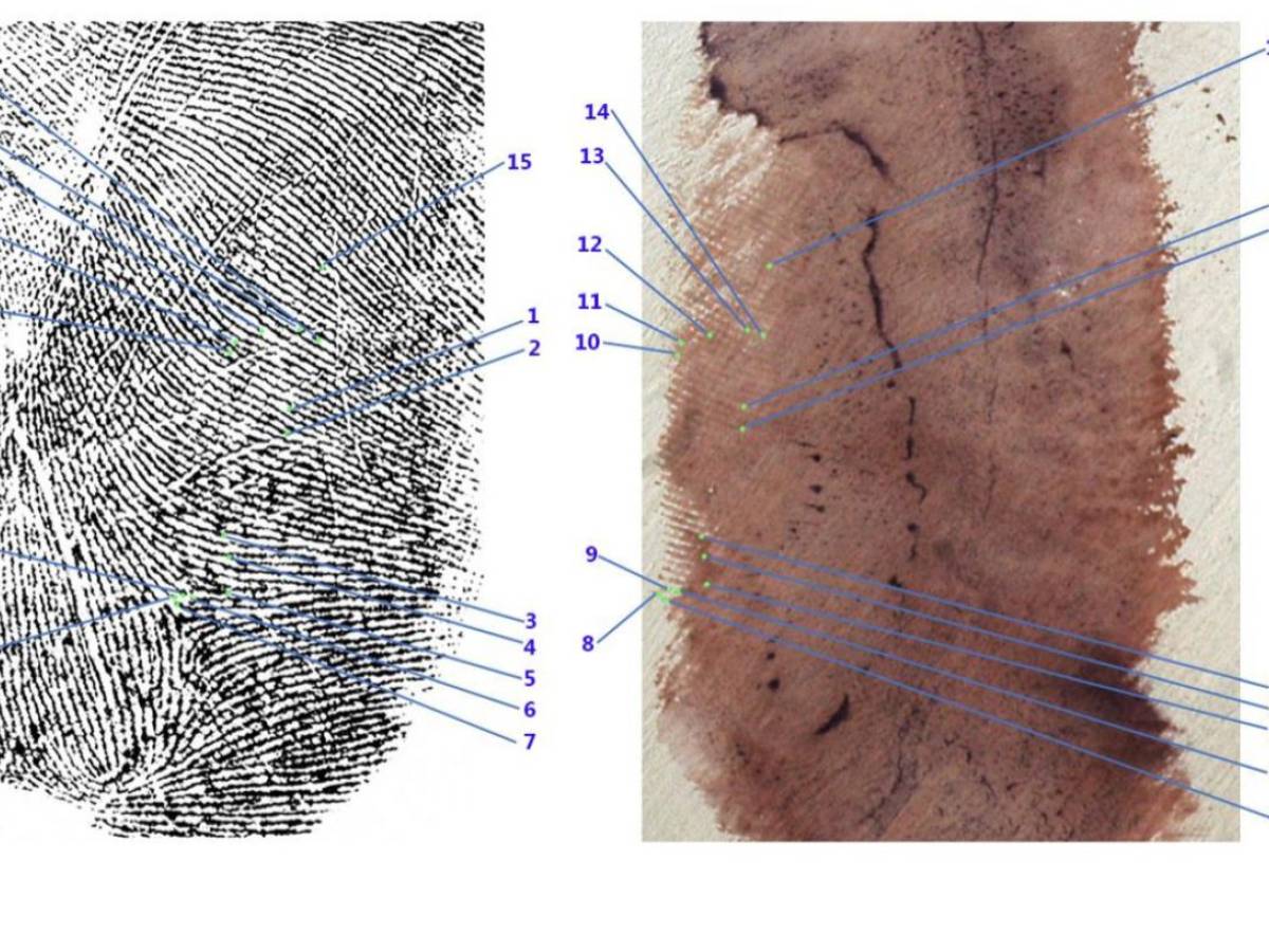 "It's all to be analyzed and reviewed. Here's what the footprints in the Poggi house say"