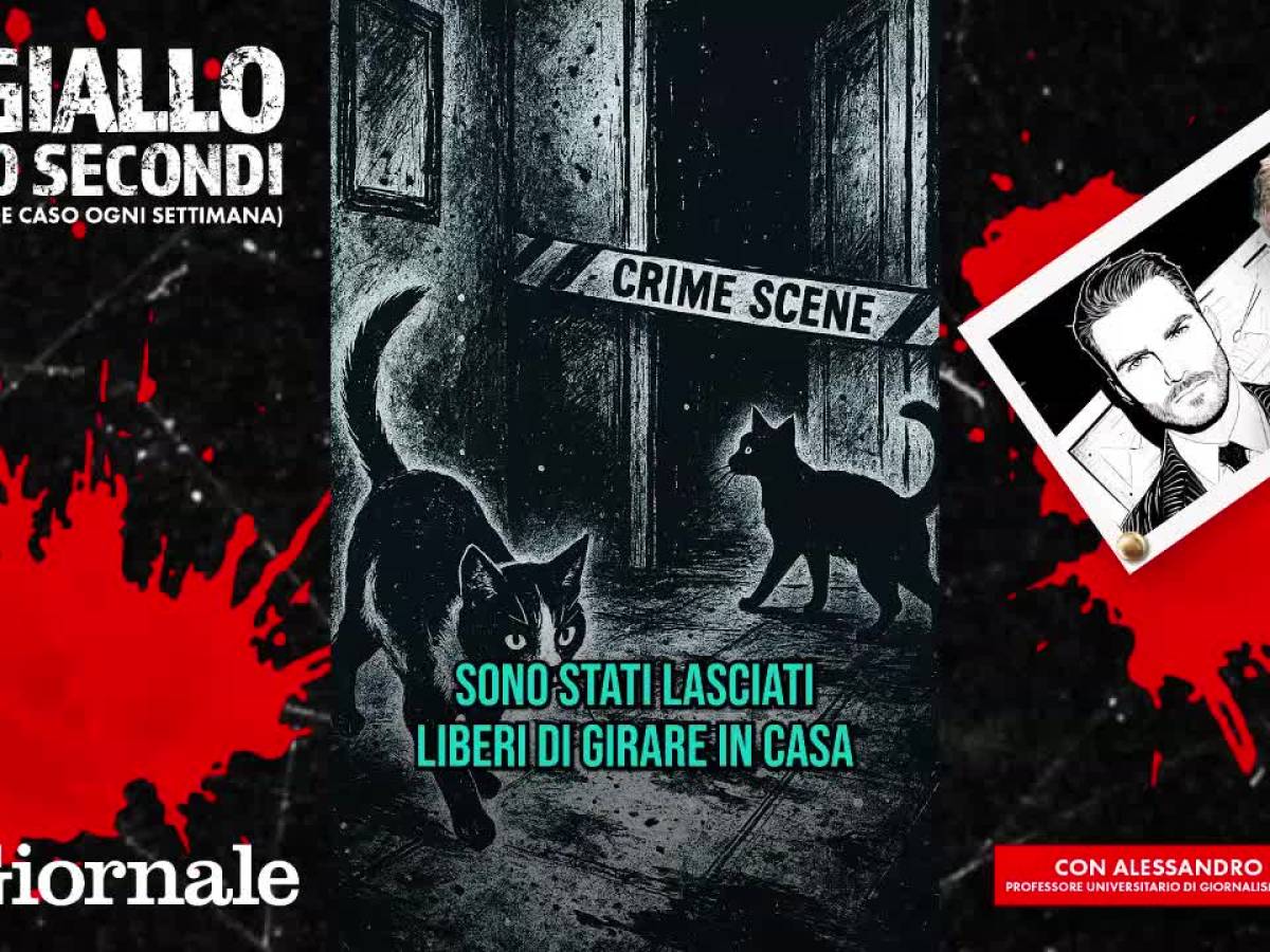 Video: Garlasco crime: the 10 shock errors never clarified