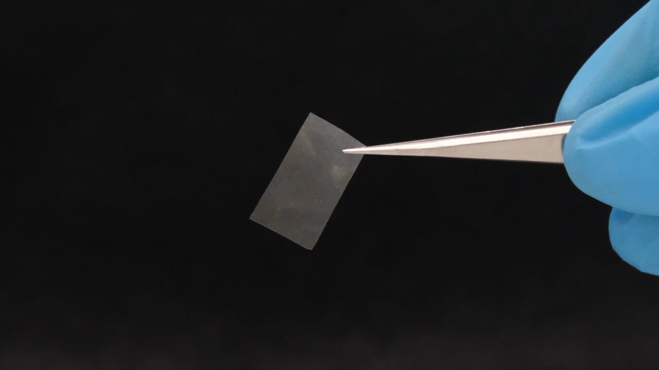 A new material produced with mushrooms: biodegradable, edible and alive