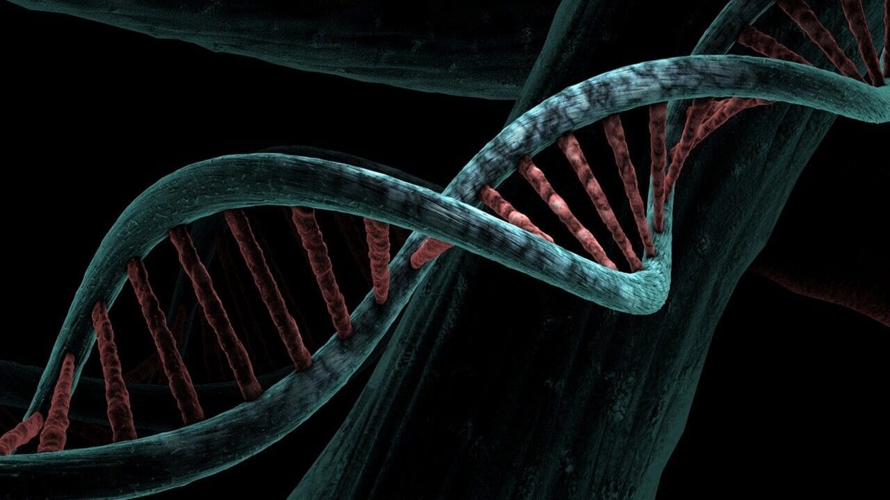 Discovered the mechanism with which the head tumor neck become drugs resistant