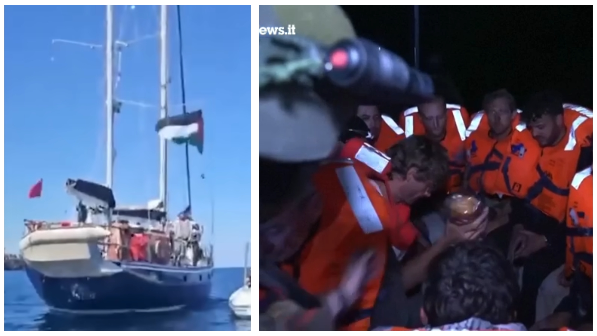 Greta and the Pro-Pal crew get arrested