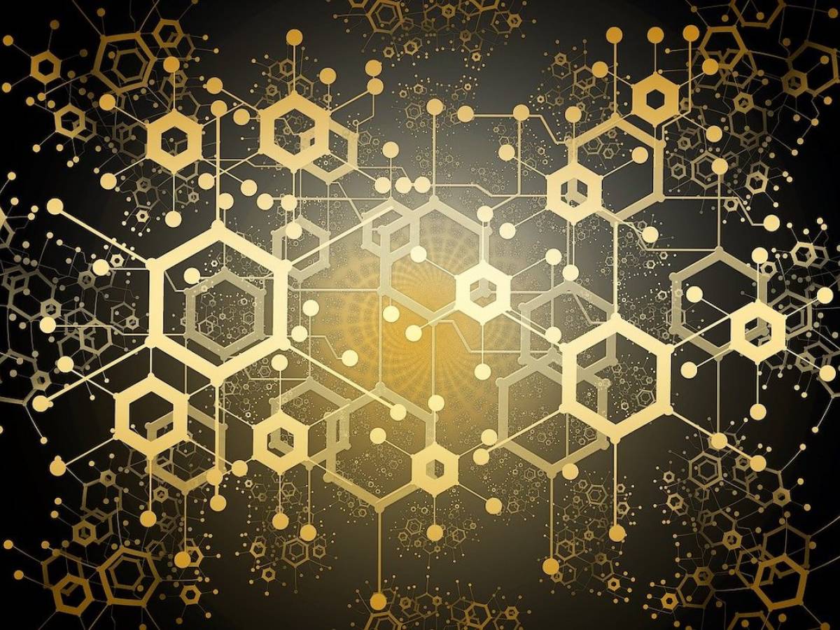 "Blockchain is not a scam": because the technology behind the crypt can change everything