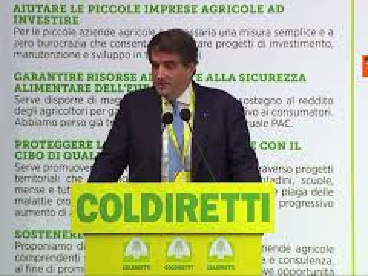Video: Fitto: simplification, flexibility and quality of expenditure central themes of the EU budget