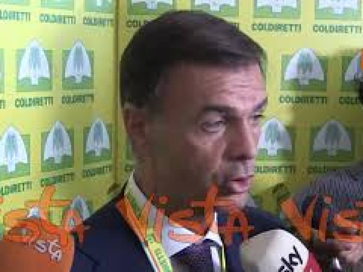 Video: duties, Prandini: "Significant answers are needed against too much bureaucracy in the EU"