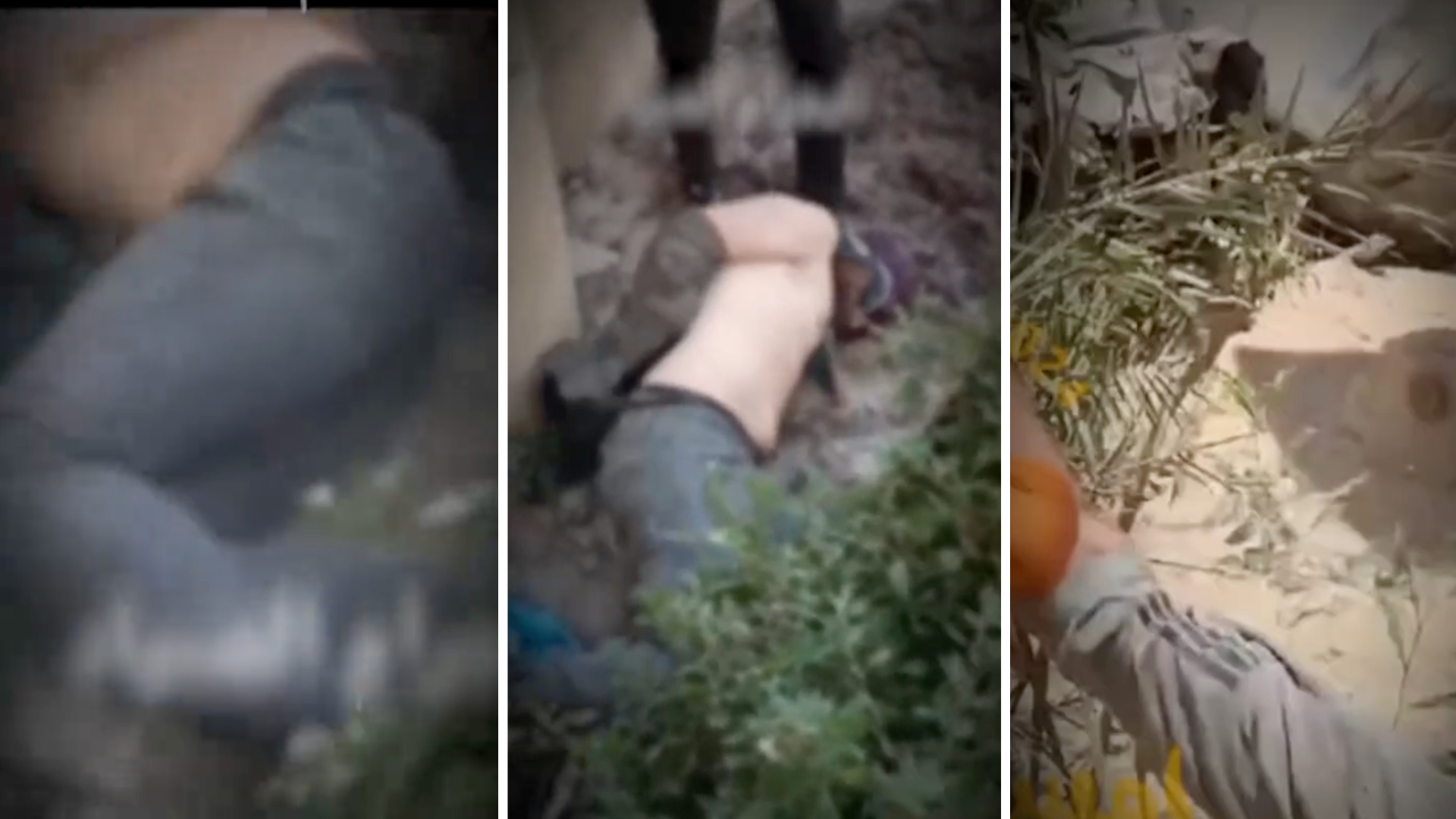 Here are the videos (which they don't show you)