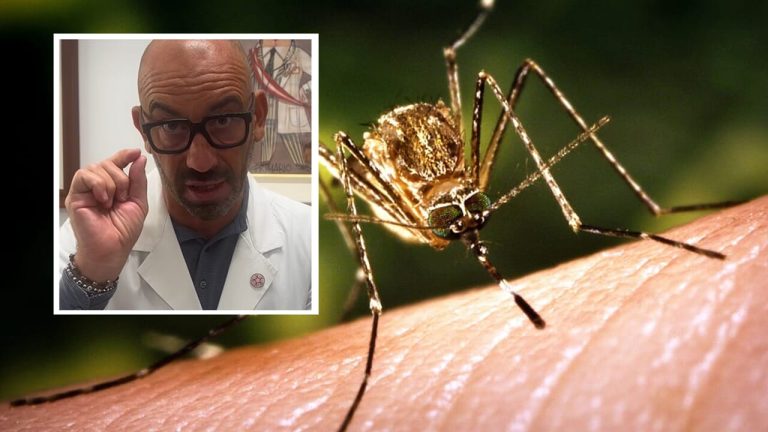 Psychosis West Nile, Bassetti clarifies. Should we be afraid of the killer mosquito?