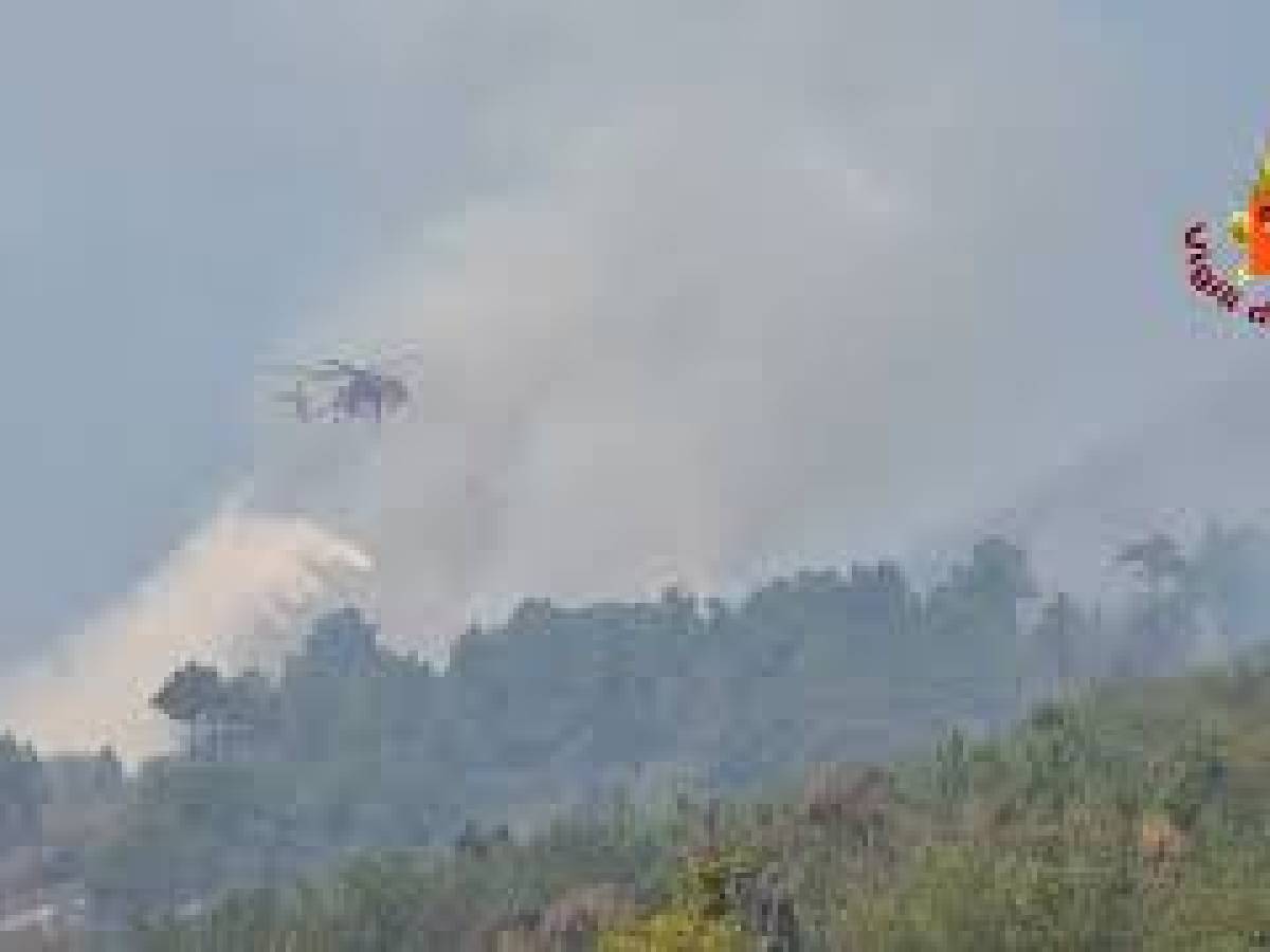Video: Boschivo fire in the Vesuvius National Park, the images of the Canadair at work