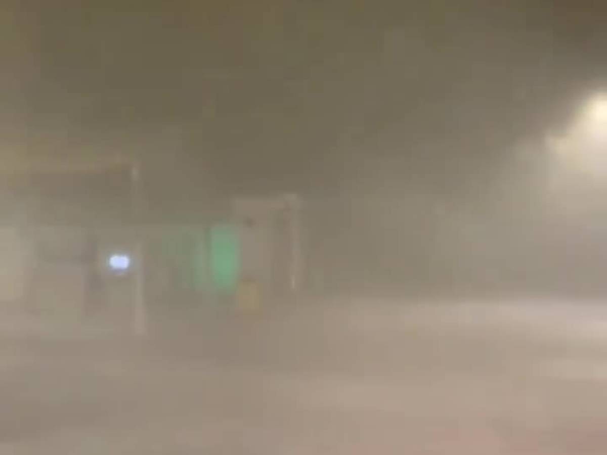 Video: Clubs on Rimini - Il Giornale